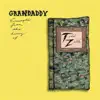 Grandaddy - Excerpts from the Diary of Todd Zilla